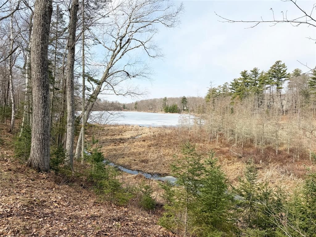 Photo of 2978 28 7/16 STREET, Birchwood, WI 54817 (MLS # 1599265)