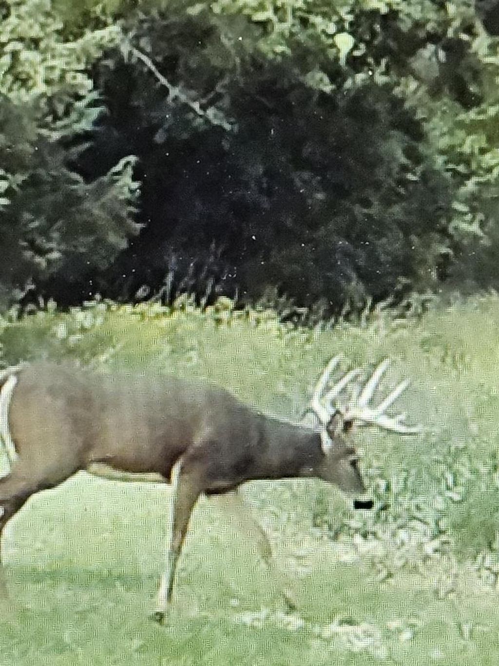 Photo of 00 County Road J ROAD, Princeton, WI 54968 (MLS # 2017975)