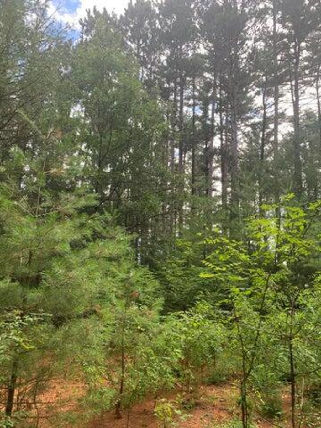 Photo of 22.35AC On Beaver AVENUE, Nekoosa, WI 54457 (MLS # 1942509)