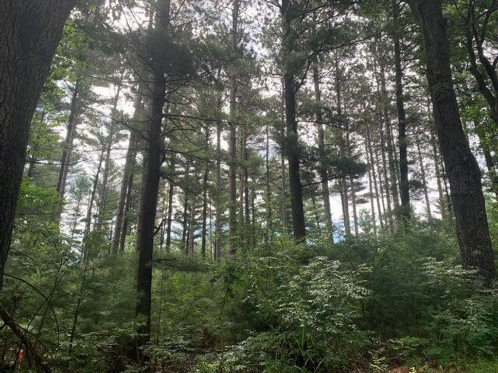 Photo of 22.35AC On Beaver AVENUE, Nekoosa, WI 54457 (MLS # 1942509)