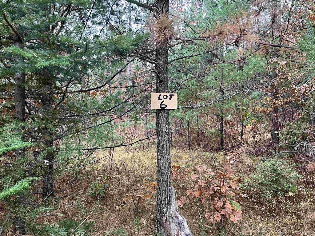 Photo of Trout Haven ROAD, Dunbar, WI 54119 (MLS # 50334569)