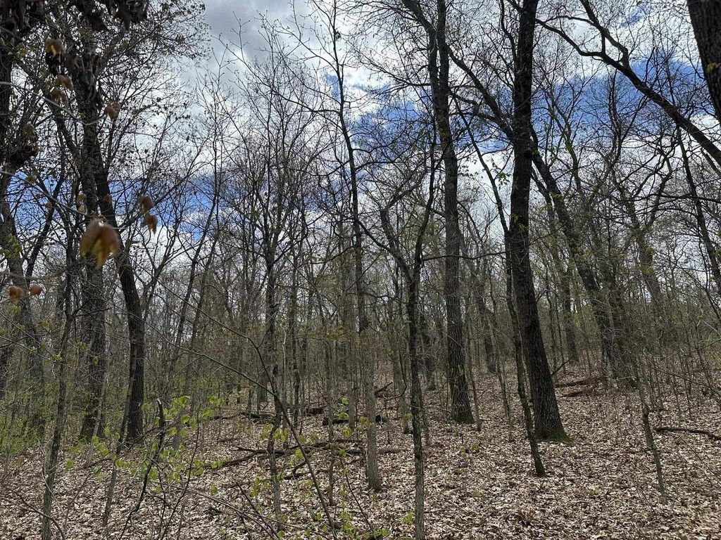 Photo of 8.81 ac Raedel LANE, Wisconsin Dells, WI 53965 (MLS # 2022494)