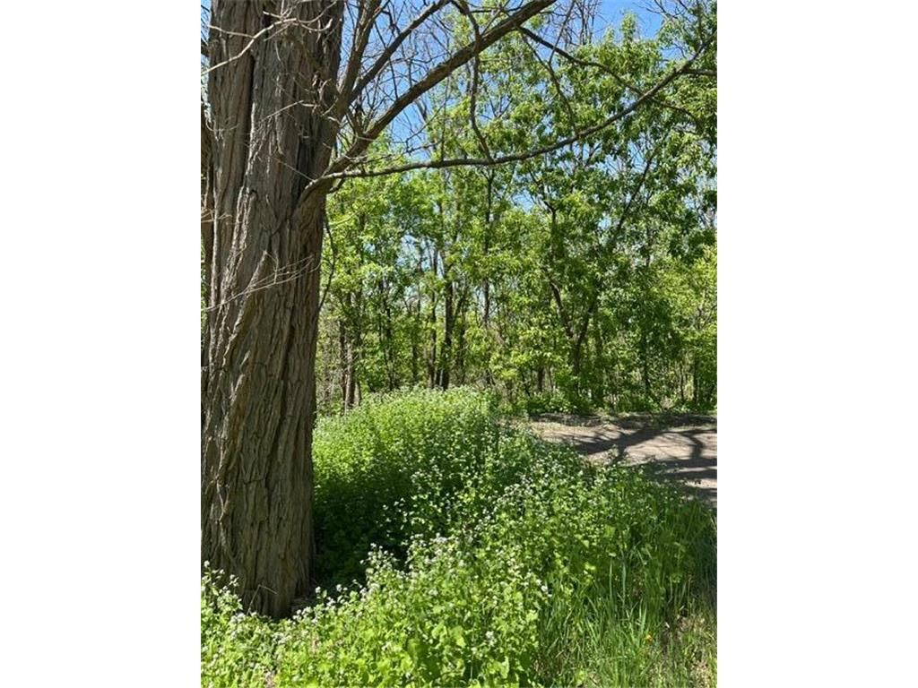 Photo of XXX S Adams STREET, Saint Croix Falls, WI 54024 (MLS # 7075278)
