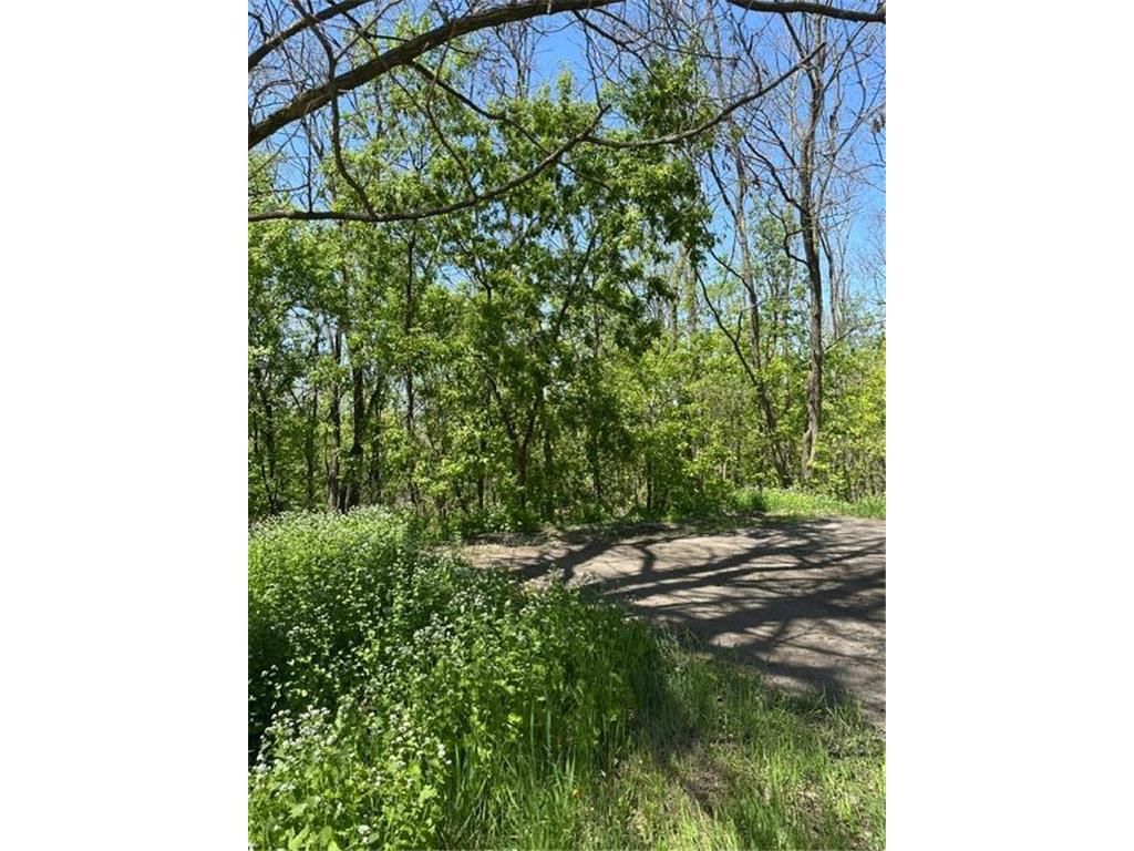 Photo of XXX S Adams STREET, Saint Croix Falls, WI 54024 (MLS # 7075278)