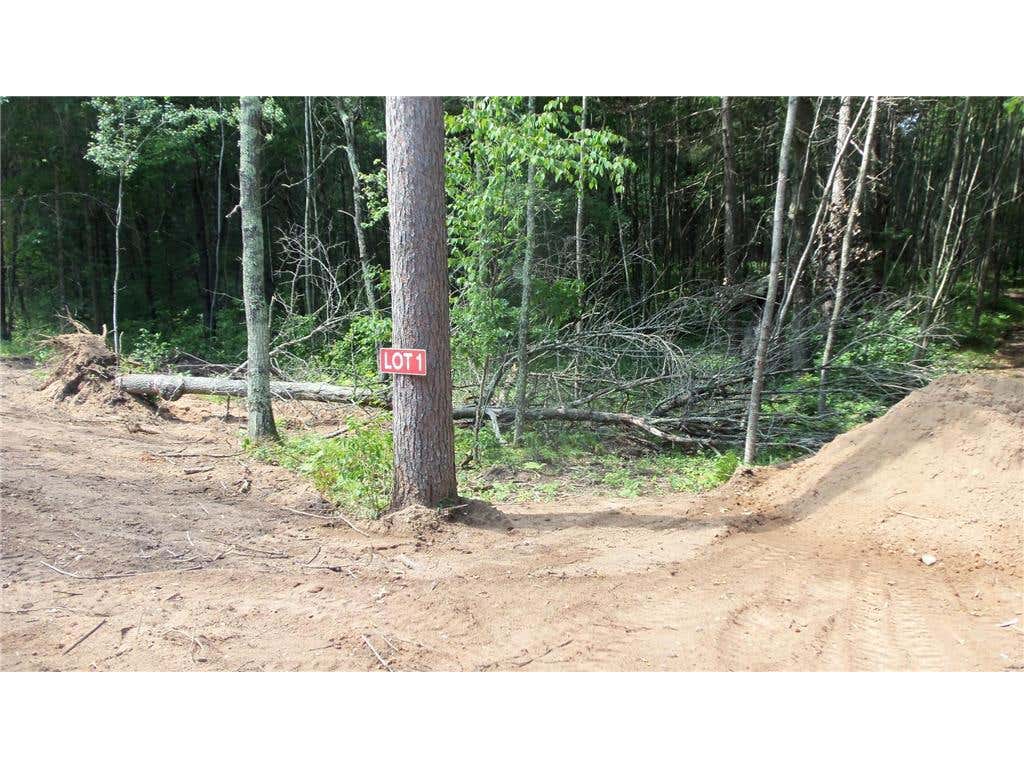 Photo of Lot 1 Brch Tree Trl, Spooner, WI 54801 (MLS # 7121067)