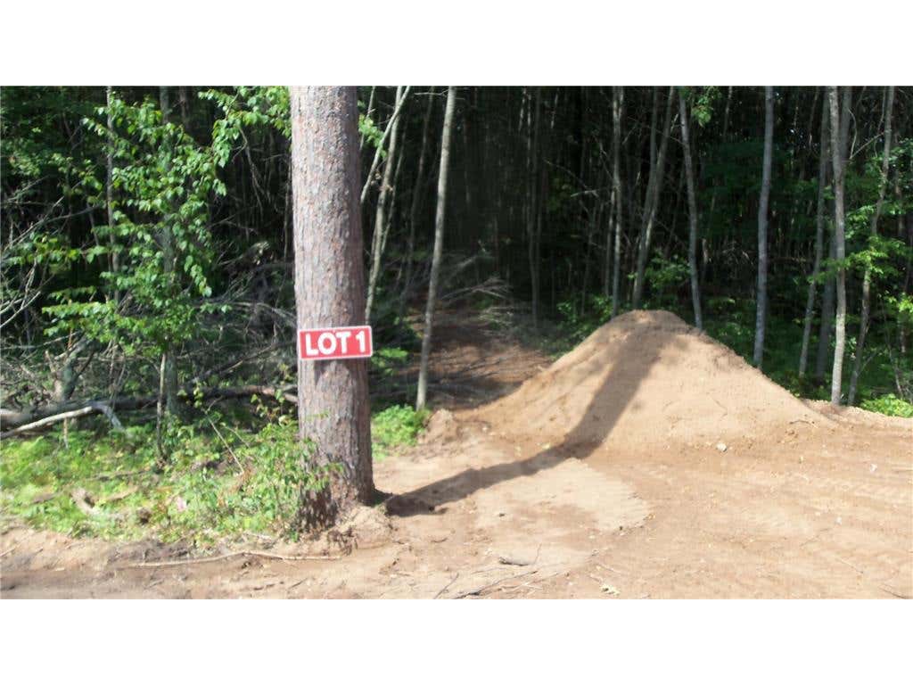 Photo of Lot 1 Brch Tree Trl, Spooner, WI 54801 (MLS # 7121067)