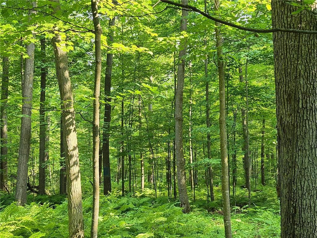 Photo of 3391 30TH STREET, Frederic, WI 54837 (MLS # 7044992)