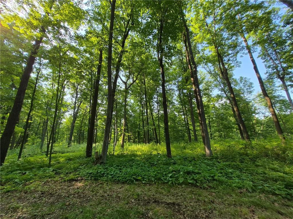 Photo of 3391 30TH STREET, Frederic, WI 54837 (MLS # 7044992)