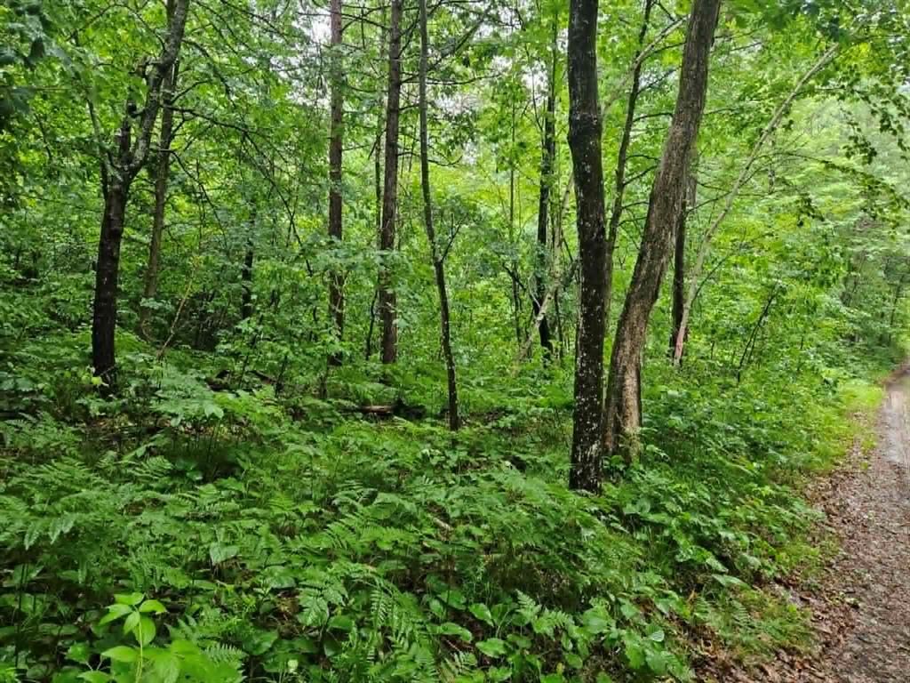 Photo of Lot 3 Hilly Ln, Spooner, WI 54801 (MLS # 1602449)