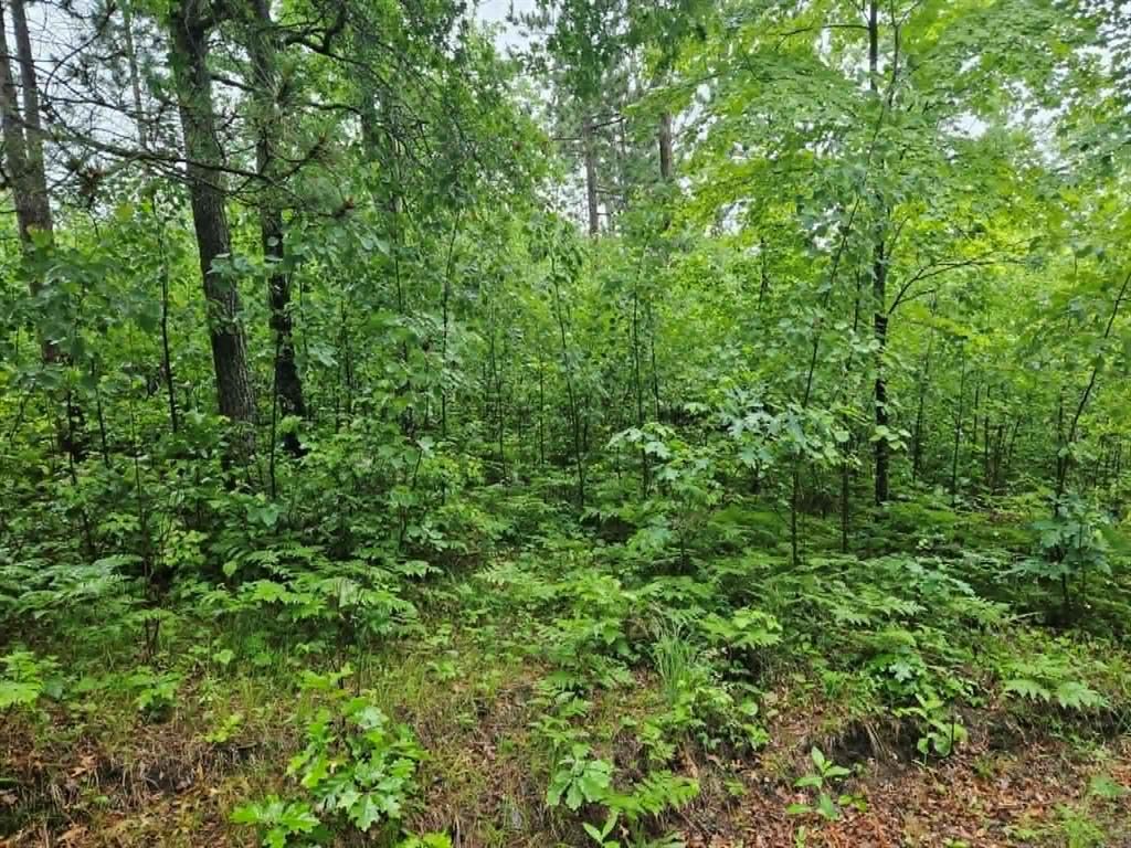 Photo of Lot 3 Hilly Ln, Spooner, WI 54801 (MLS # 1602449)