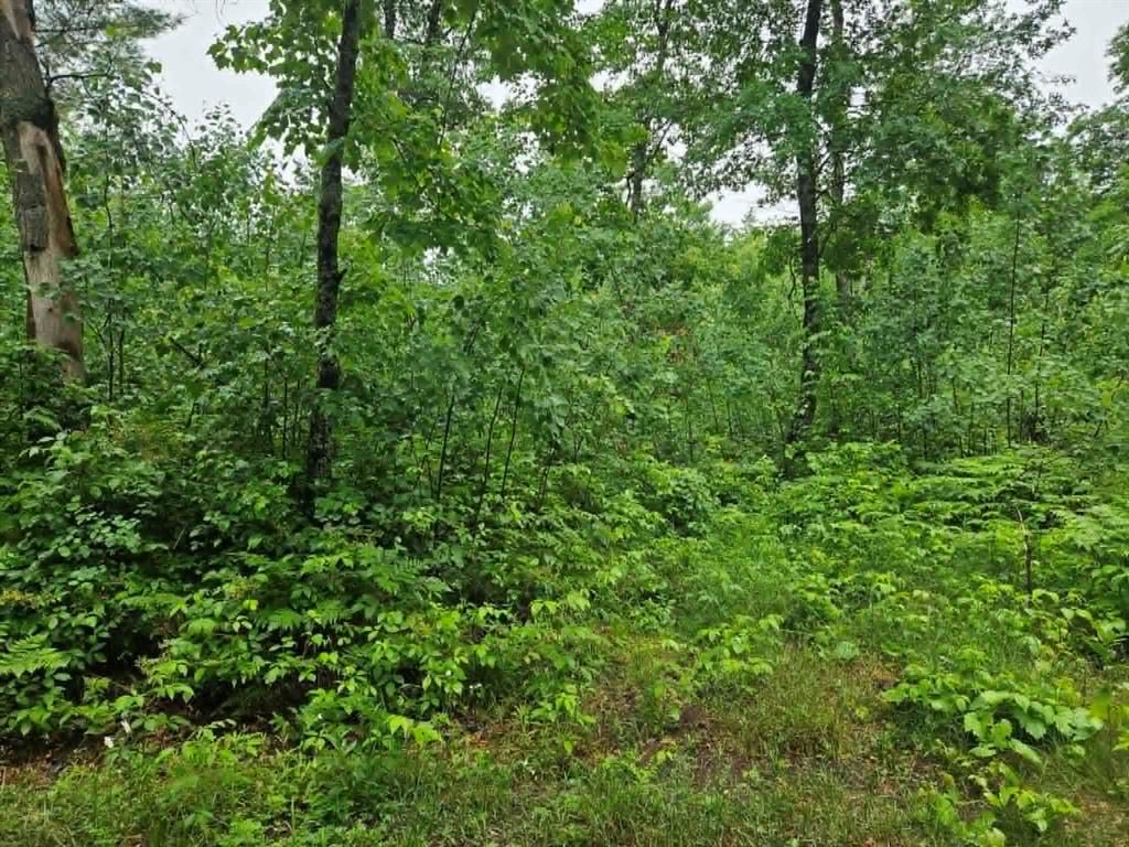 Photo of Lot 3 Hilly Ln, Spooner, WI 54801 (MLS # 1602449)