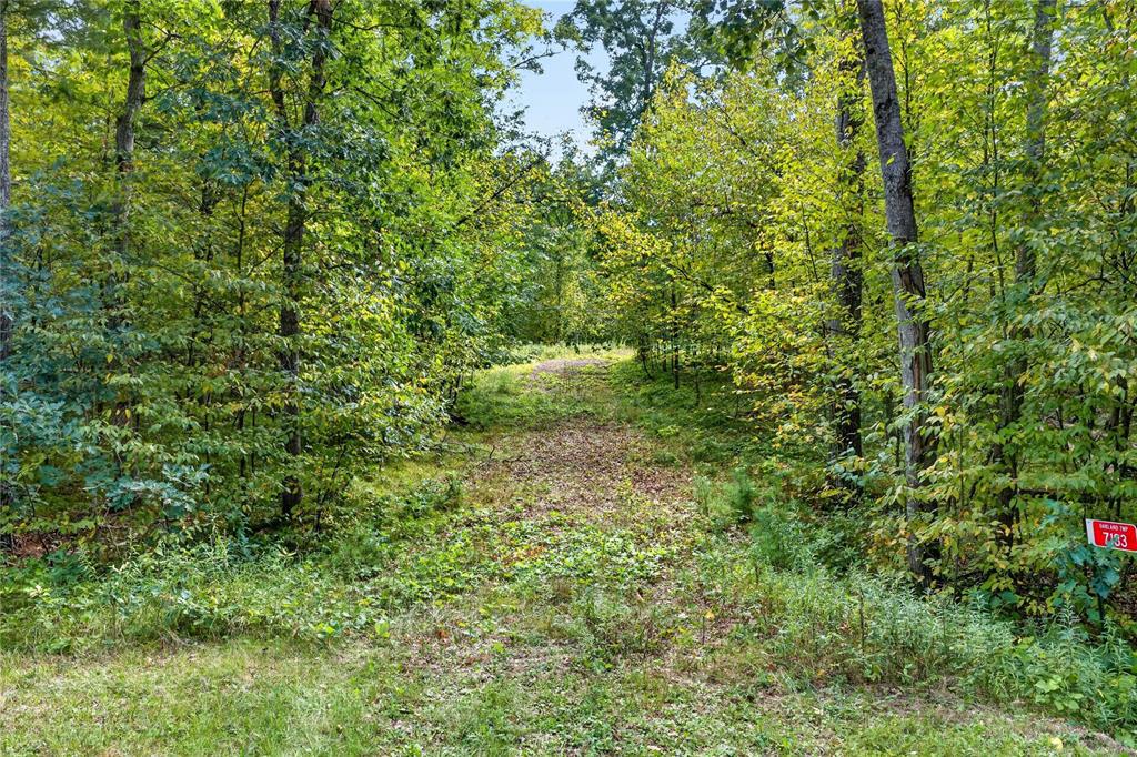 Photo of 7183 Fremsted ROAD, Danbury, WI 54830 (MLS # 1604943)