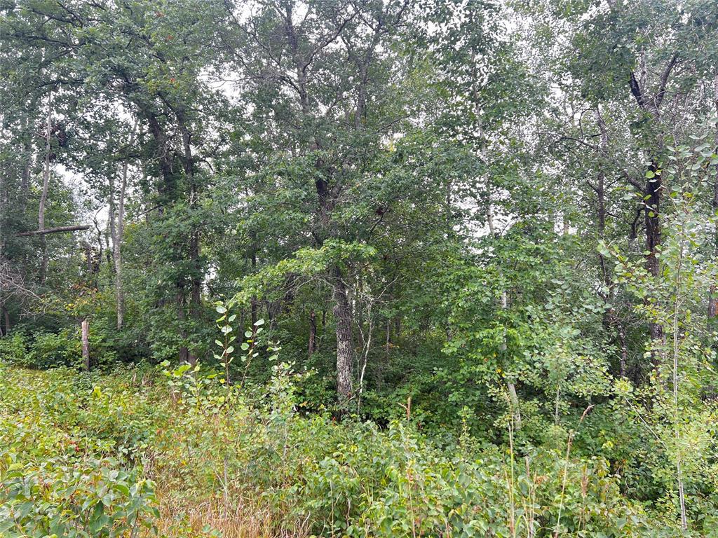 Photo of Lot 3 County Road T, Minong, WI 54838 (MLS # 1603926)