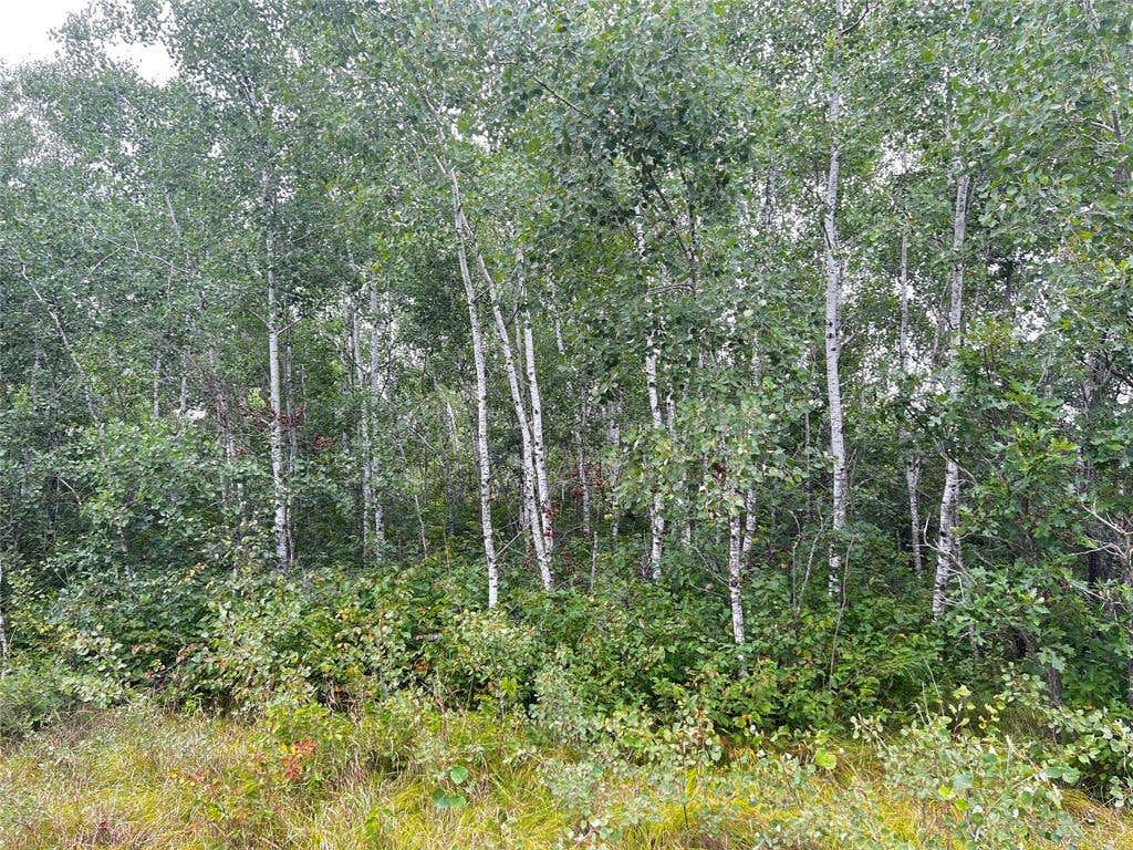 Photo of Lot 3 County Road T, Minong, WI 54838 (MLS # 1603926)