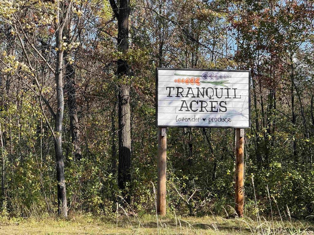 Photo of W6098 E Stelling ROAD, Tomahawk, WI 54487 (MLS # 22600446)