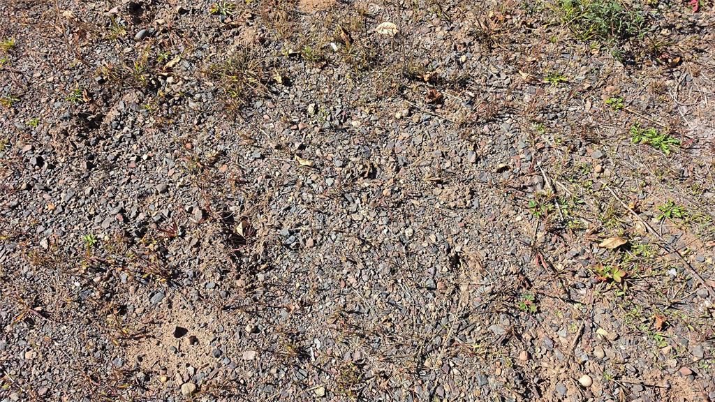 Photo of On County HWY W, Winter, WI 54896 (MLS # 1605419)