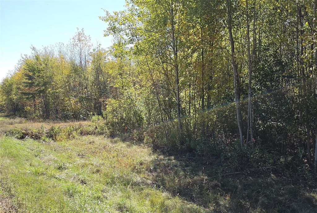 Photo of On County HWY W, Winter, WI 54896 (MLS # 1605419)
