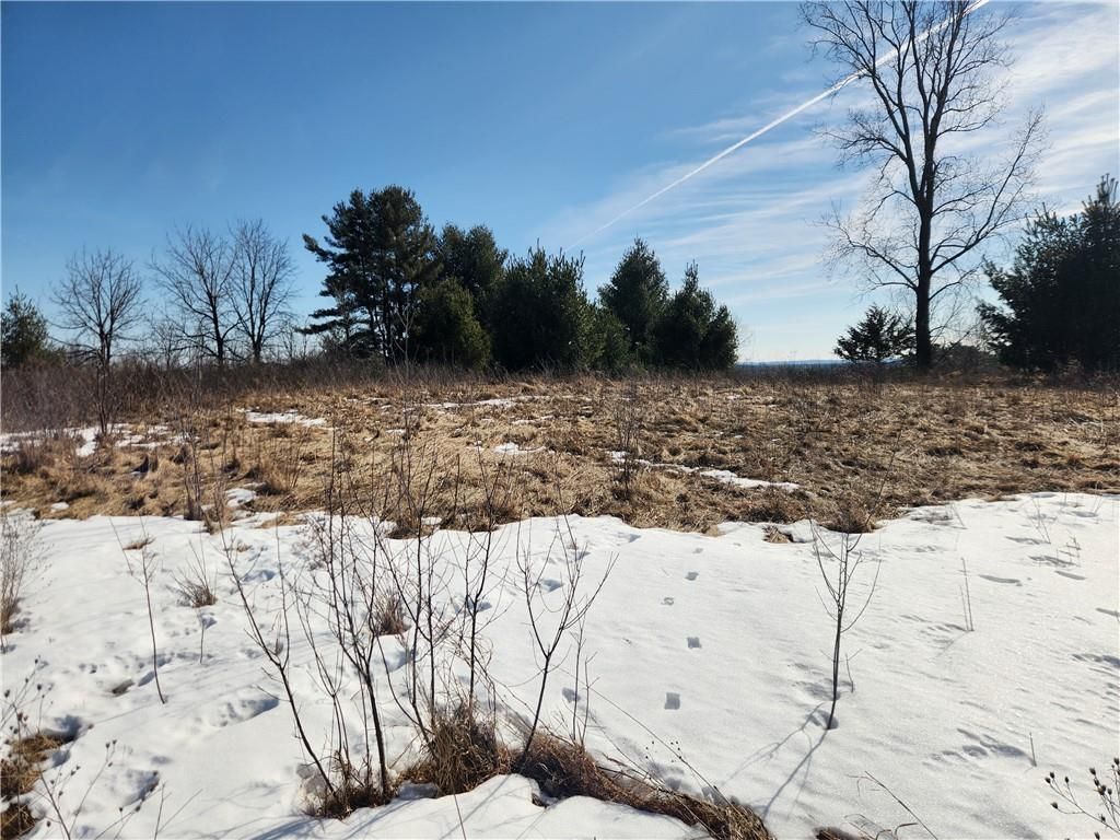 Photo of Lot 75 Cottonwood AVENUE, Black River Falls, WI 54615 (MLS # 1598839)
