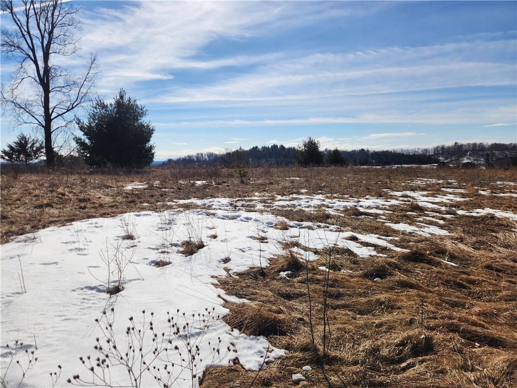 Photo of Lot 75 Cottonwood AVENUE, Black River Falls, WI 54615 (MLS # 1598839)