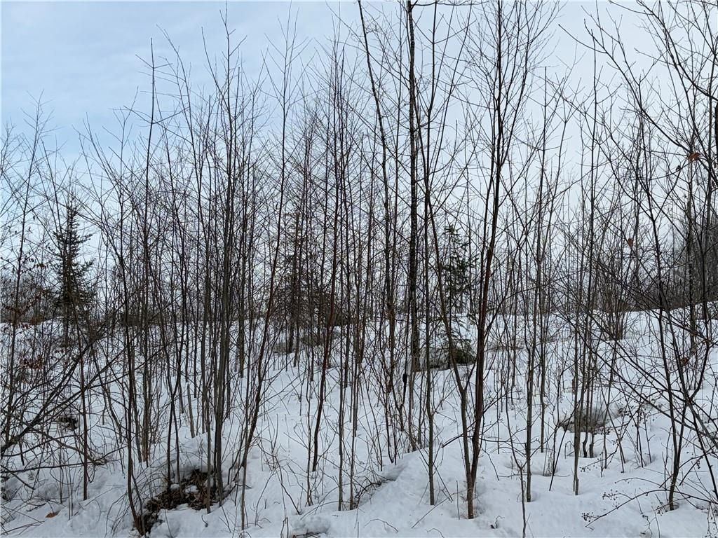 Photo of ON Forest DRIVE, Ogema, WI 54459 (MLS # 1598876)
