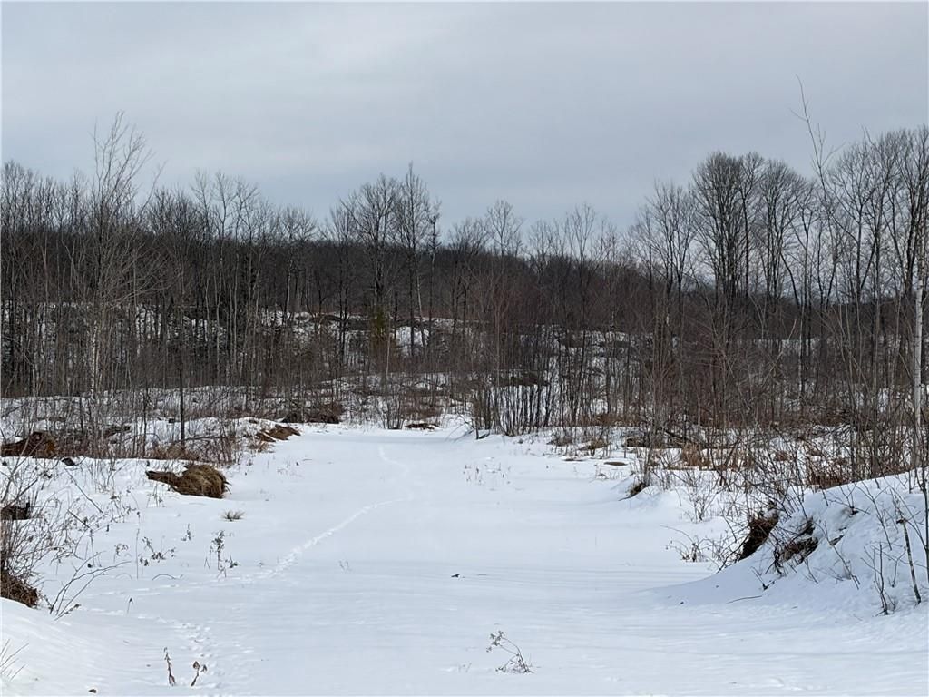Photo of ON Forest DRIVE, Ogema, WI 54459 (MLS # 1598876)
