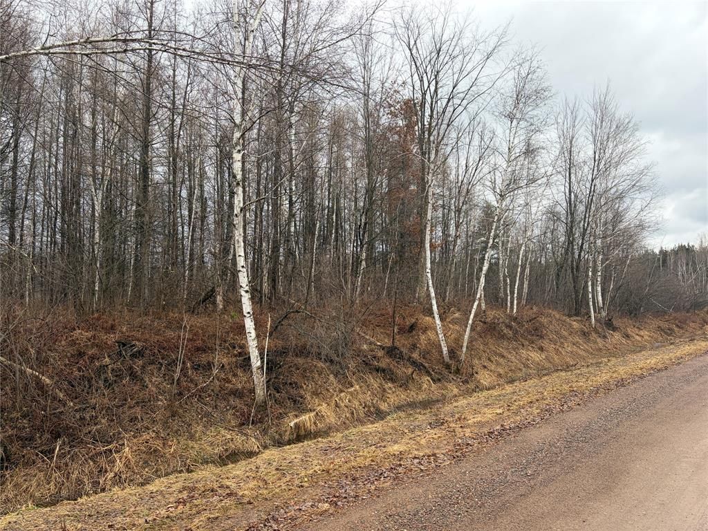Photo of ON Sheep Camp Road, Ladysmith, WI 54848 (MLS # 1599296)