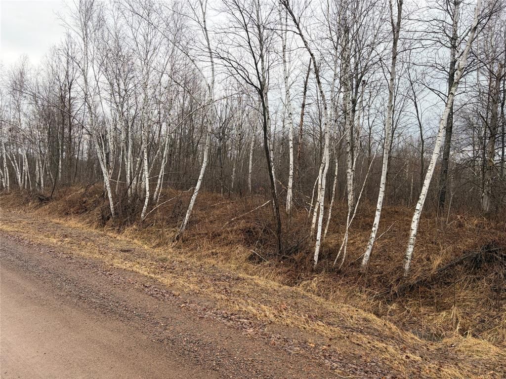 Photo of ON Sheep Camp Road, Ladysmith, WI 54848 (MLS # 1599296)