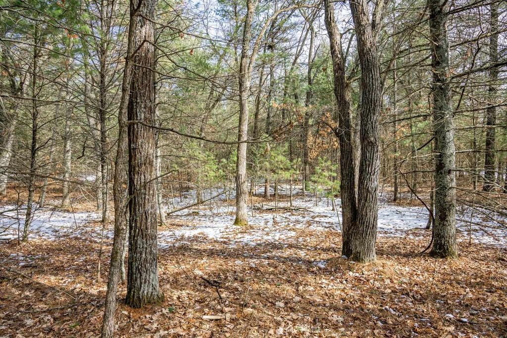Photo of Lot 39 S Badger LANE, Arkdale, WI 54613 (MLS # 2018293)