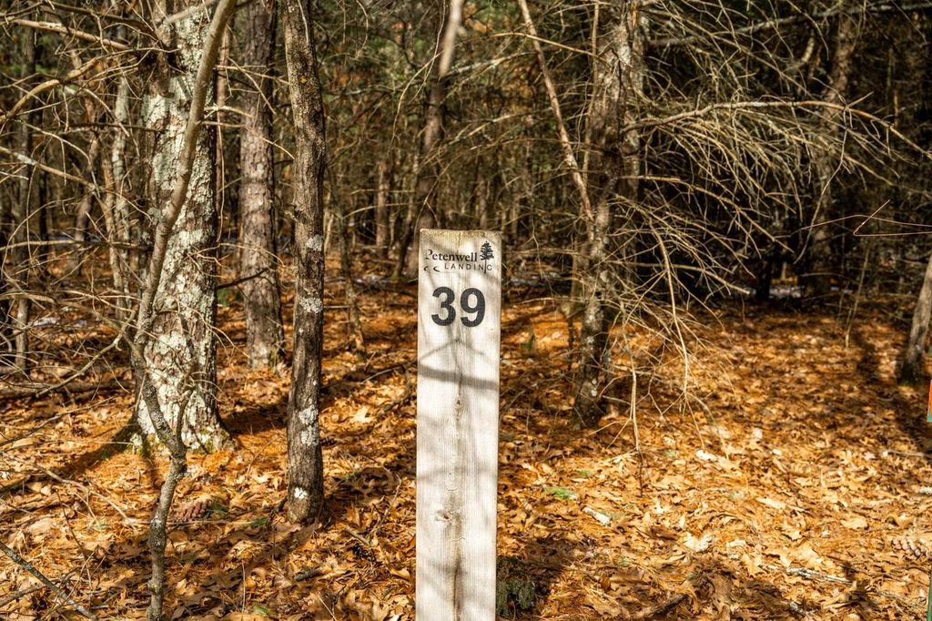 Photo of Lot 39 S Badger LANE, Arkdale, WI 54613 (MLS # 2018293)