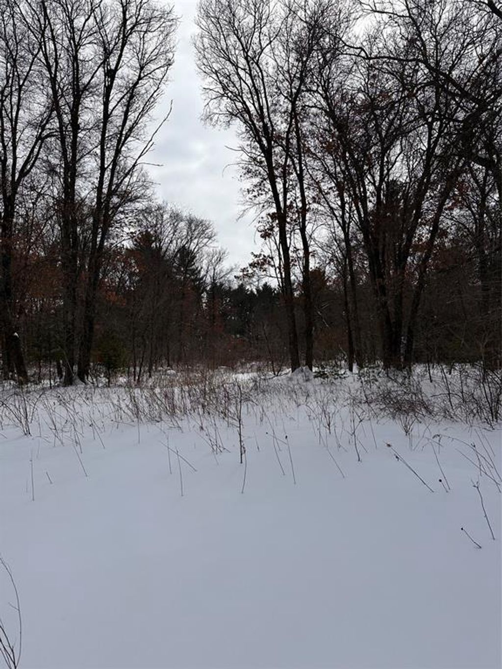 Photo of Lot 5 Creekside COURT, Eau Claire, WI 54701 (MLS # 1599221)