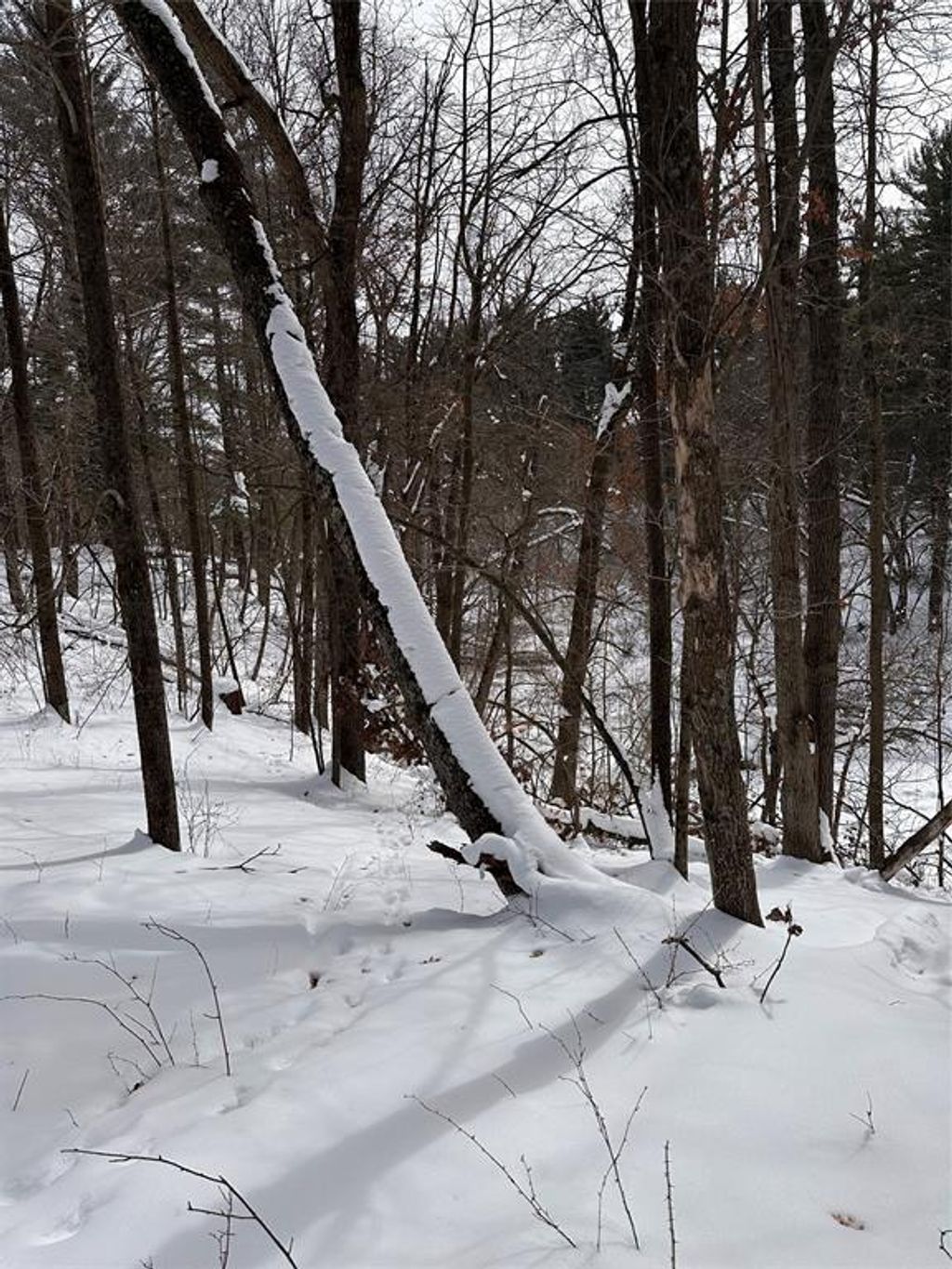 Photo of Lot 5 Creekside COURT, Eau Claire, WI 54701 (MLS # 1599221)