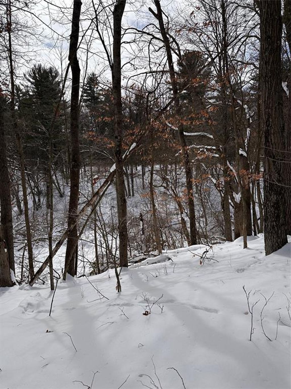 Photo of Lot 5 Creekside COURT, Eau Claire, WI 54701 (MLS # 1599221)