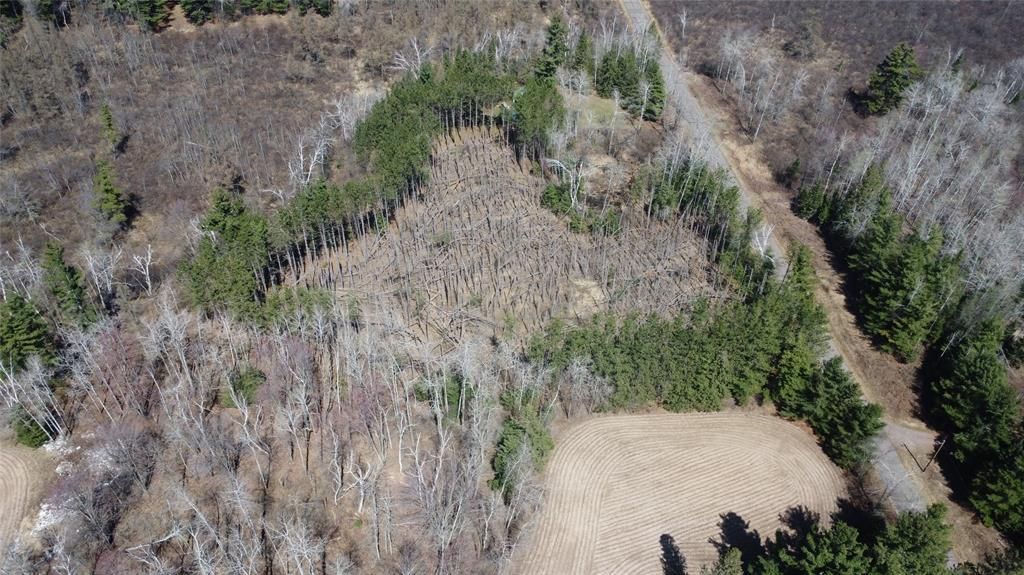 Photo of 9.429 Schwartz ROAD, Exeland, WI 54835 (MLS # 1600304)