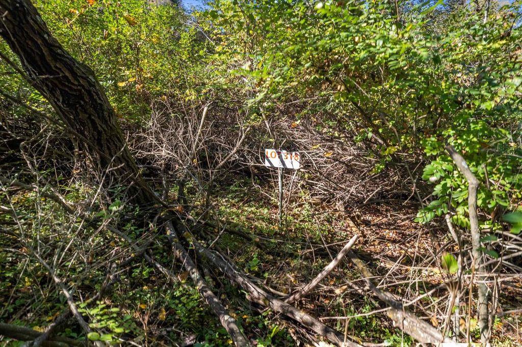 Photo of 1309 Bobsled COURT, Woodland, WI 53941 (MLS # 2010325)