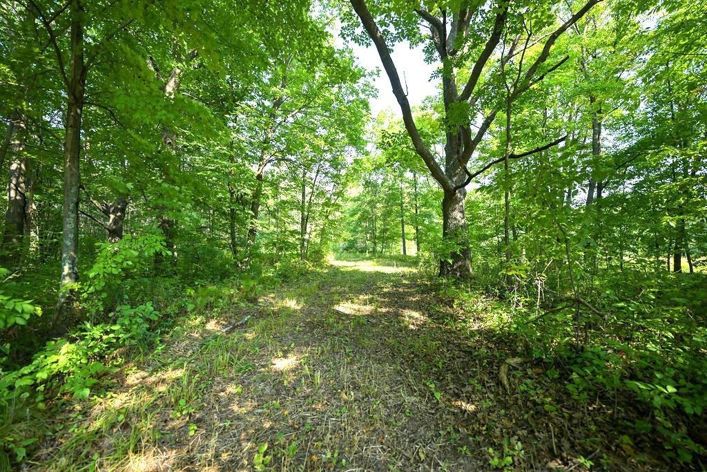 Photo of 00 10 1/2-28 1/2, Barronett, WI 54813 (MLS # 1604830)