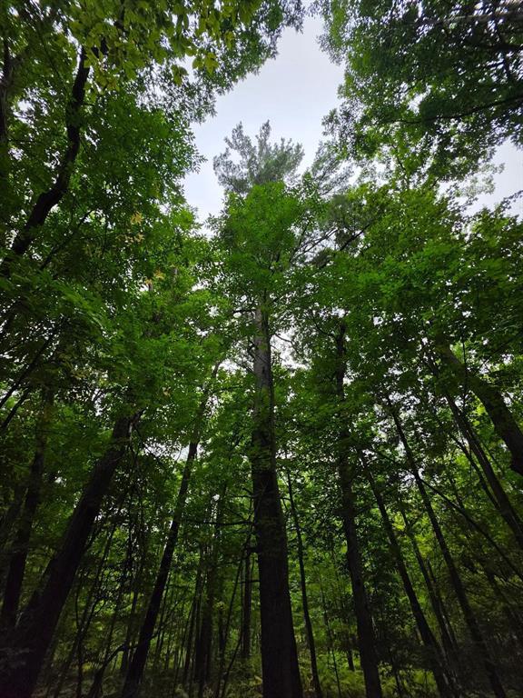 Photo of 00 10 1/2-28 1/2, Barronett, WI 54813 (MLS # 1604830)