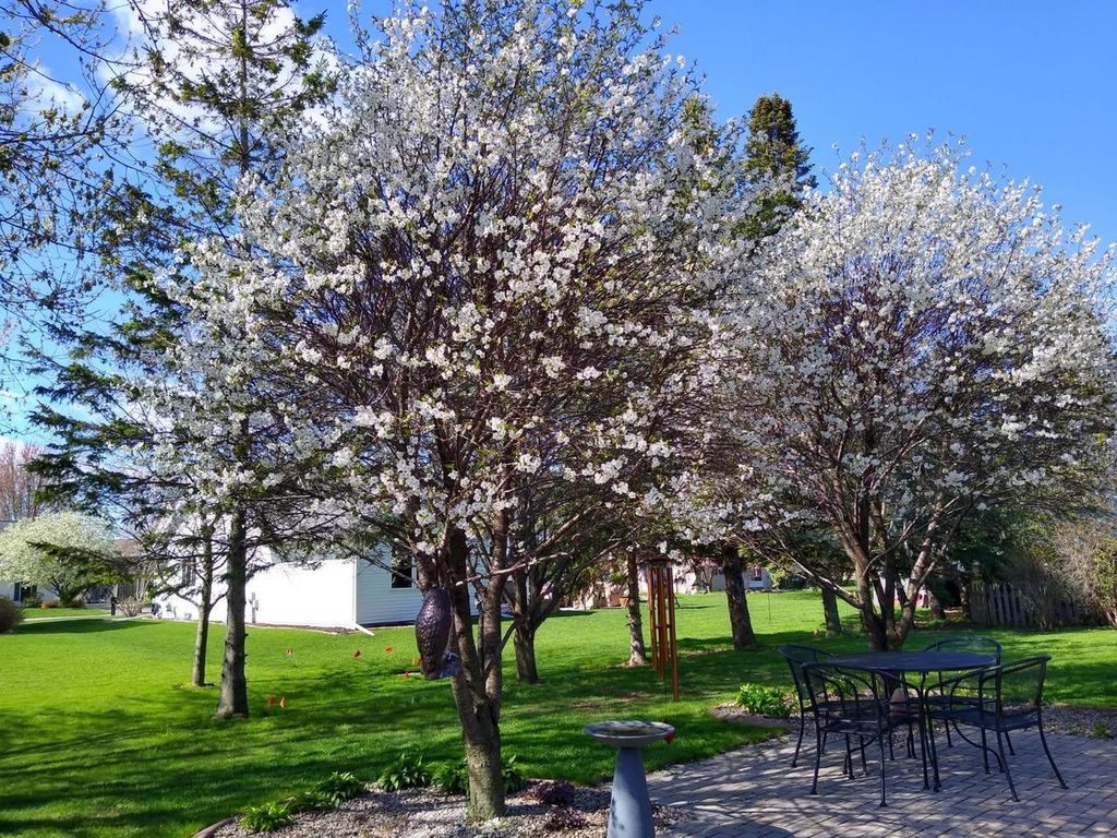 Photo of 4715 Periwinkle COURT, Appleton, WI 54914 (MLS # 50324403)