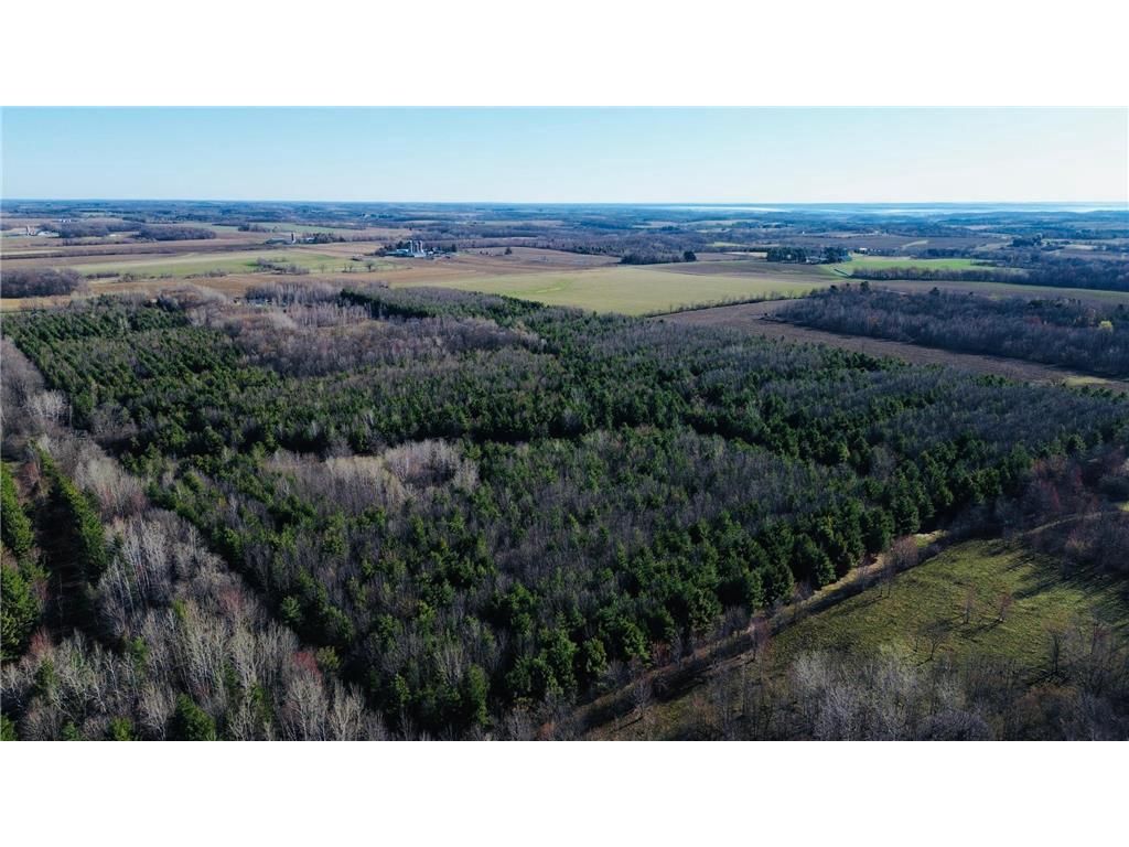 Photo of 0000 110th AVENUE, Glenwood City, WI 54013 (MLS # 7057784)