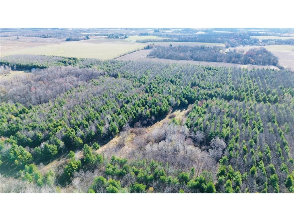 Photo of 0000 110th AVENUE, Glenwood City, WI 54013 (MLS # 7057784)