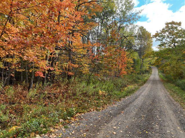 Photo of Lot 1 Ison ROAD, Crandon, WI 54520 (MLS # 2034790)