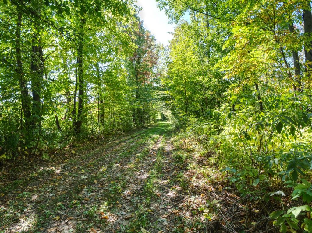 Photo of 00 310th AVENUE, Sheldon, WI 54766 (MLS # 1949946)