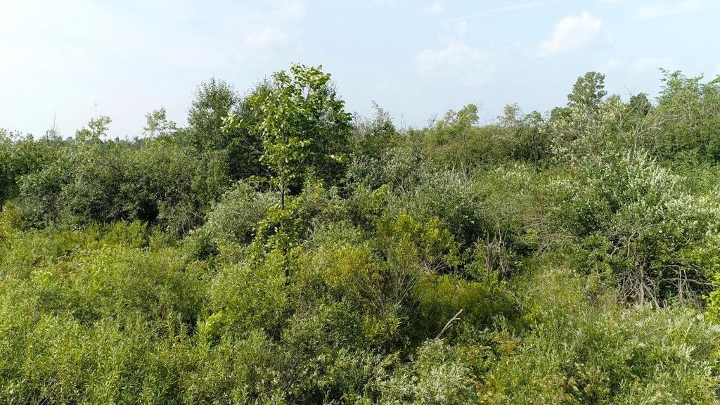 Photo of 00 310th AVENUE, Sheldon, WI 54766 (MLS # 1949946)