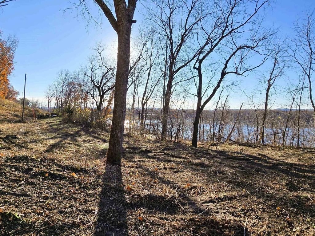 Photo of 4.1 +/- ACRES Hwy 35, De Soto, WI 54624 (MLS # 2019194)