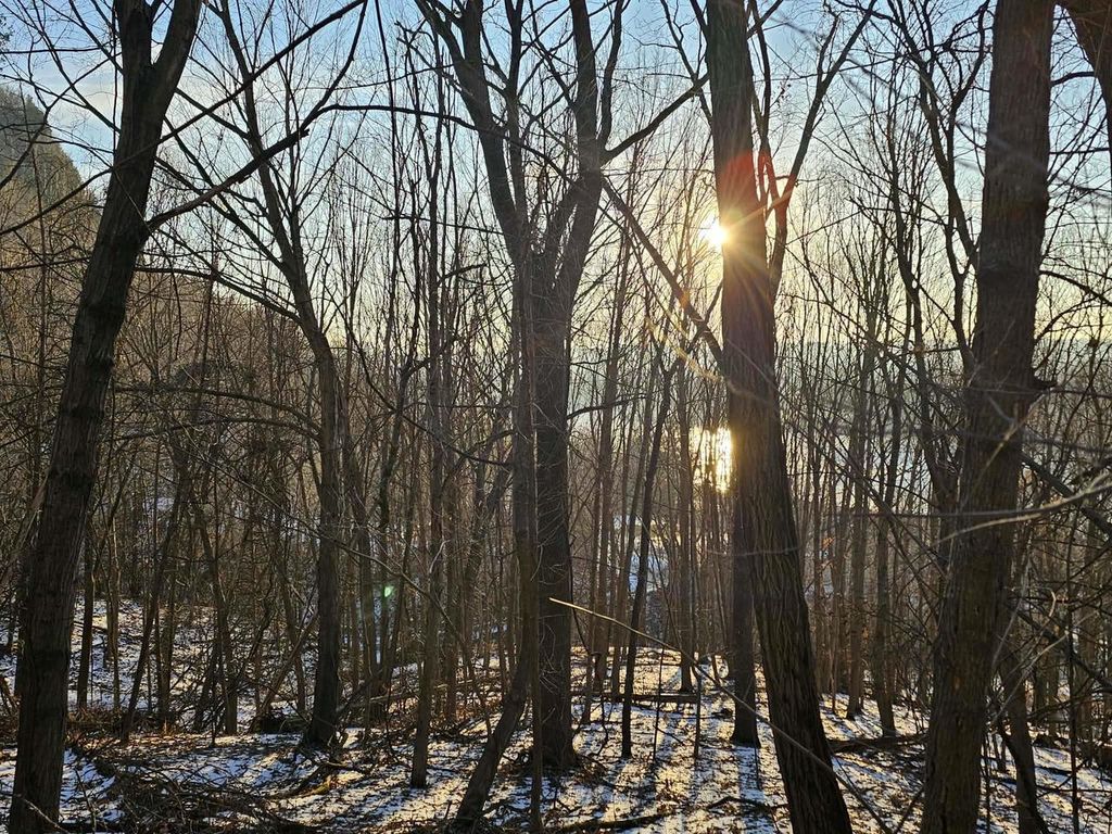 Photo of 1.73 Ac Stevens ROAD, De Soto, WI 54624 (MLS # 2014574)