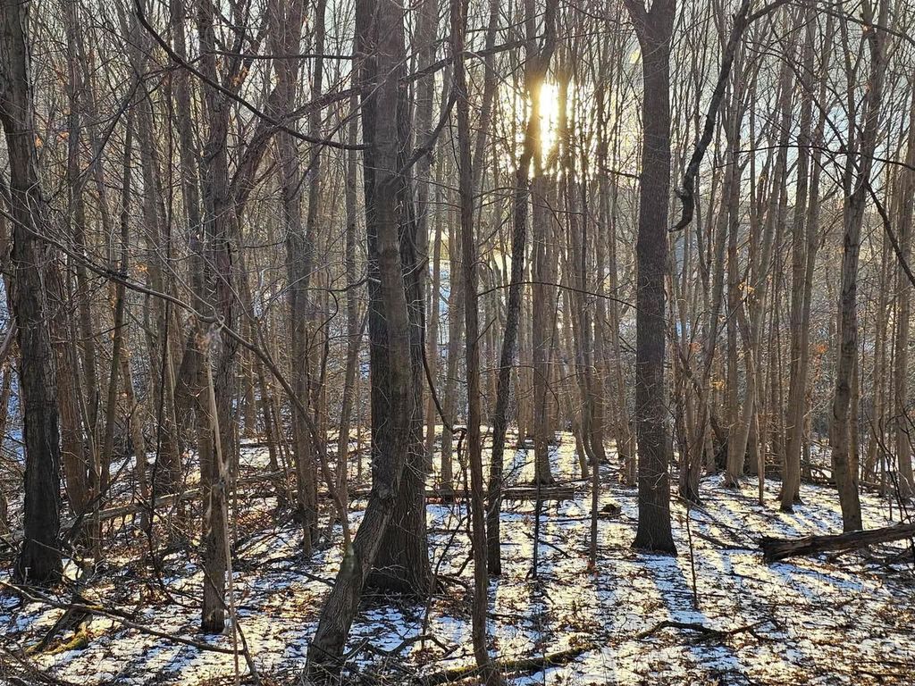 Photo of 1.73 Ac Stevens ROAD, De Soto, WI 54624 (MLS # 2014574)