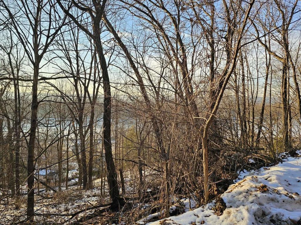 Photo of 1.73 Ac Stevens ROAD, De Soto, WI 54624 (MLS # 2014574)