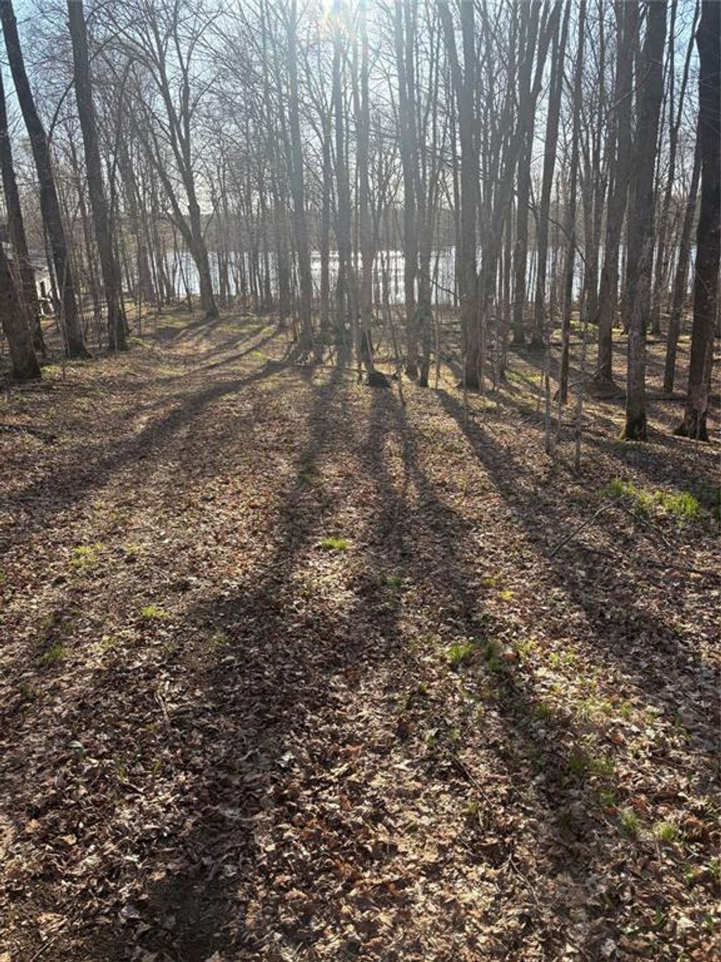 Photo of Lot 11 Lake Winter ROAD, Winter, WI 54896 (MLS # 1600481)