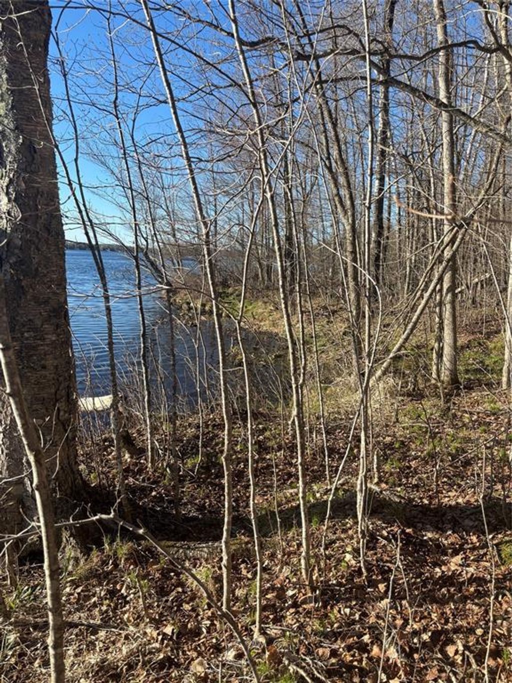 Photo of Lot 11 Lake Winter ROAD, Winter, WI 54896 (MLS # 1600481)
