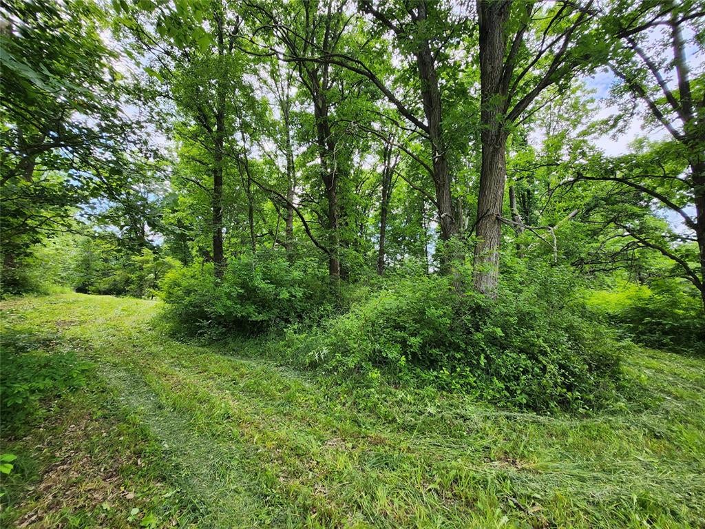 Photo of 7 Acres Countyy Highway F, Birchwood, WI 54817 (MLS # 1602730)