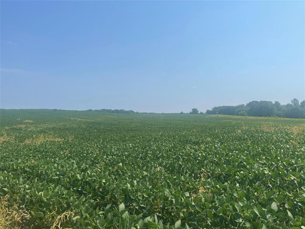 Photo of XXXX 190th Street, Centuria, WI 54824 (MLS # 1605124)